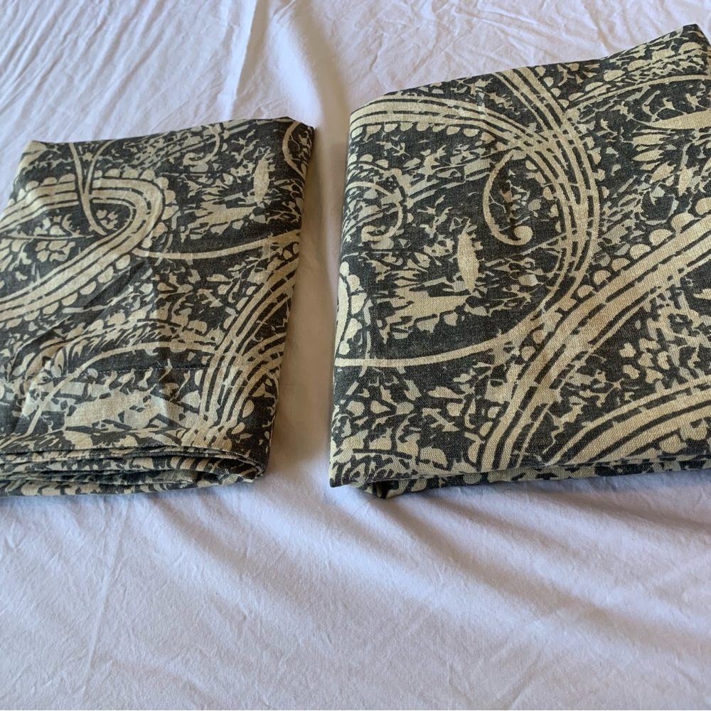 Pottery Barn Paisley King Pillow Cases Shams